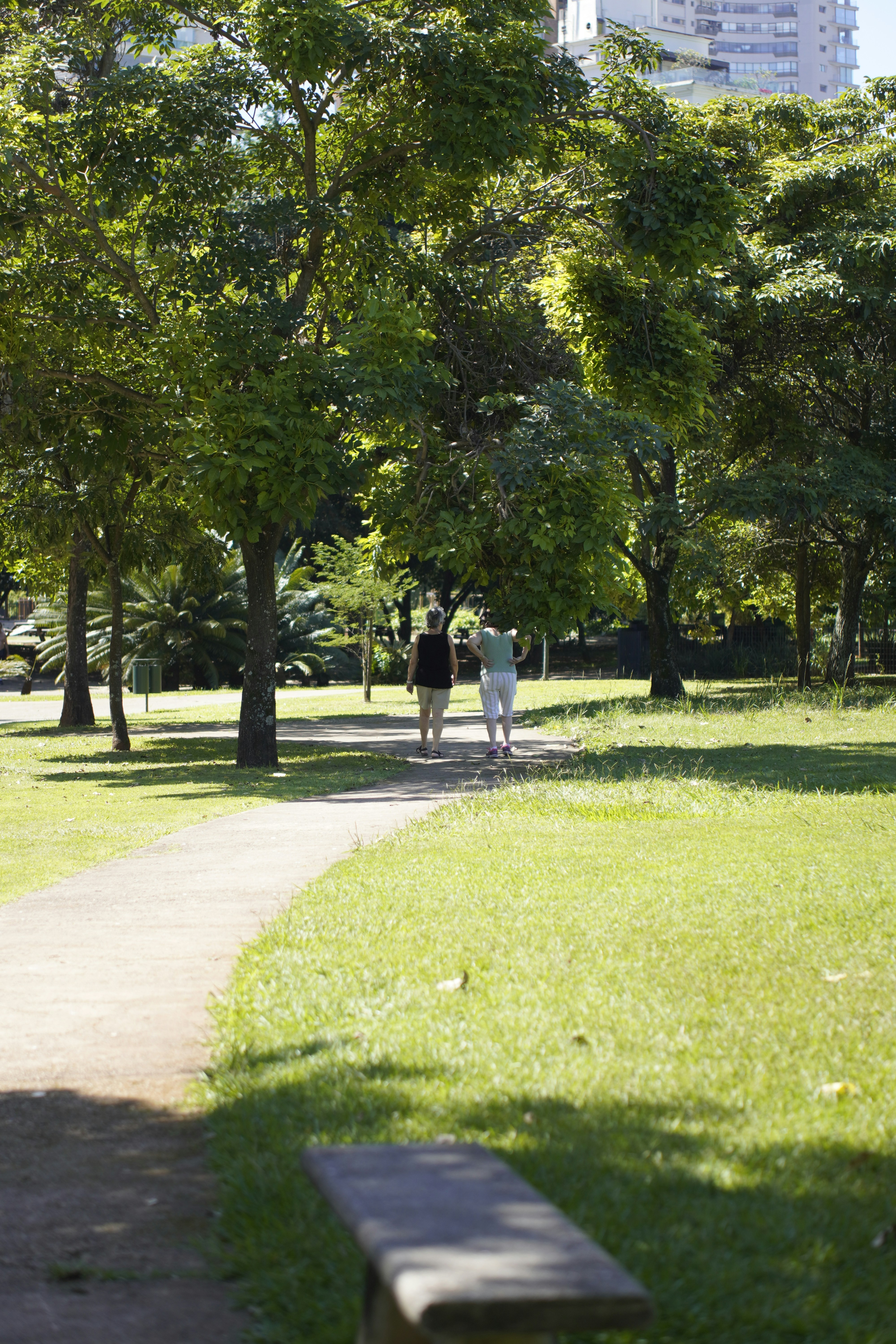 Duas pessoas caminham por uma trilha arborizada em um parque ensolarado.